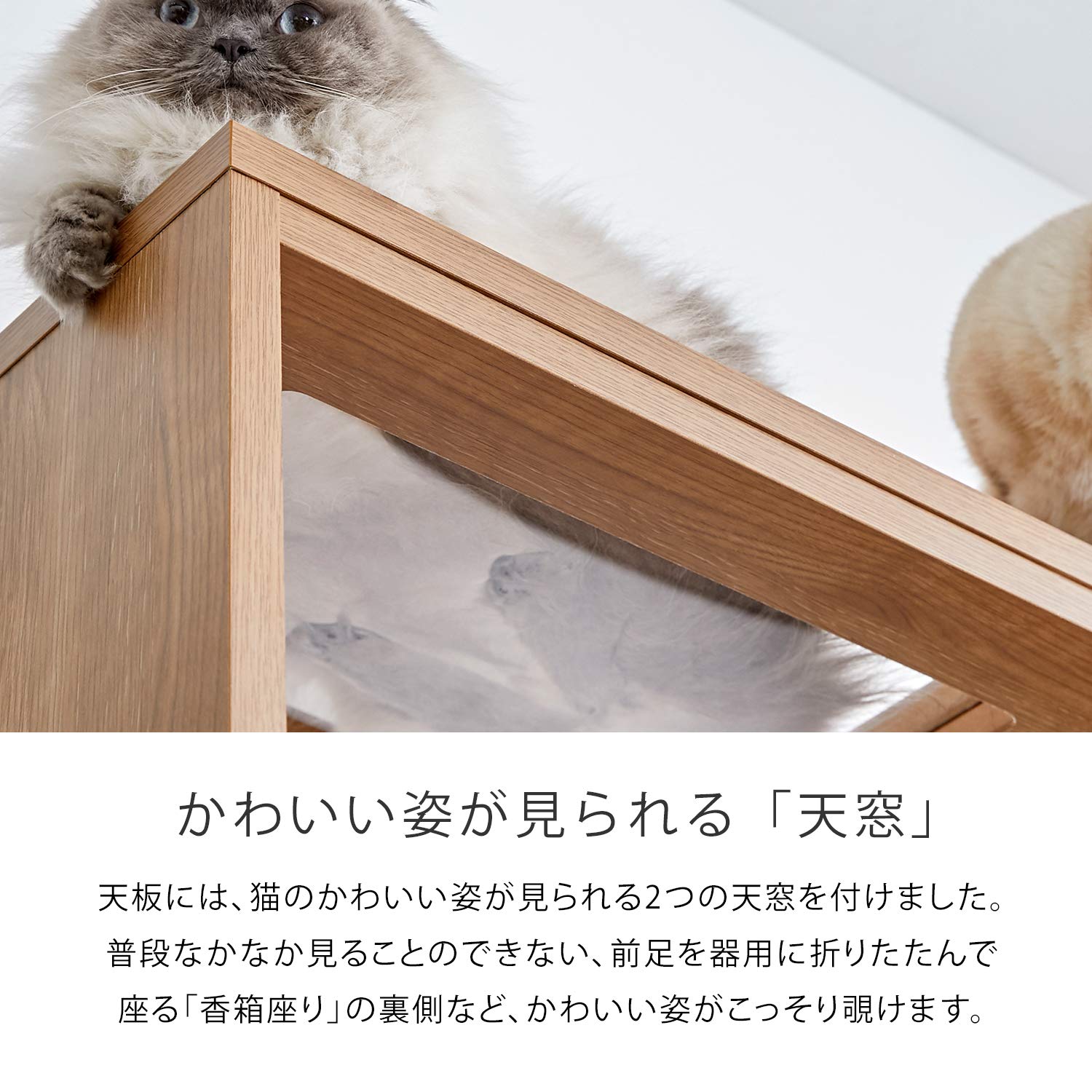 Amazon｜LOWYA ロウヤ 猫 家具 TVボード テレビ台 キャットタワー 壁面